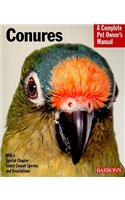 Conures Pom