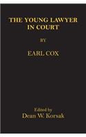 Young Lawyer In Court