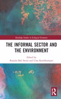 The Informal Sector and the Environment: (Routledge Studies in Ecological Economics)