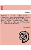 Remarks on Two Cross-Sections of the County, from South Wheal Basset, Through Carn Brea Hill, to West Wheal Tolgus, in West Cornwall ... Illustrated by ... Plates. from the Report of the Miners' Association of Cornwall and Devon, for 1873.