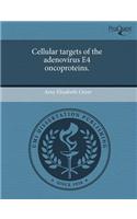 Cellular Targets of the Adenovirus E4 Oncoproteins