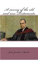 survey of the old and new testaments