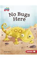 No Bugs Here