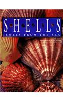 Shells