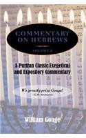 Commentary on Hebrews