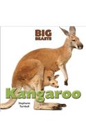 Kangaroo: (Big Beasts)