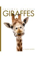 Giraffes: (Amazing Animals)