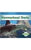 Hammerhead Sharks