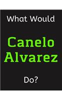 What Would Canelo Alvarez Do?