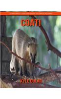 Coati! Learn about Coati and Enjoy Colorful Pictures