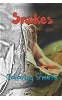 Snake Coloring Sheets: 30 Snake Drawings, Coloring Sheets Adults Relaxation, Coloring Book for Kids, for Girls, Volume 9
