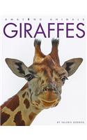 Amazing Animals: Giraffes