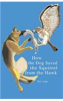 How the Dog Saved the Squirrel From the Hawk