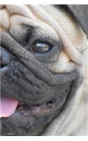 My Pug Notebook