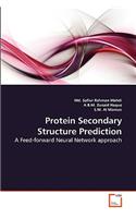 Protein Secondary Structure Prediction
