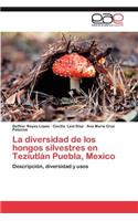 Diversidad de Los Hongos Silvestres En Teziutlan Puebla, Mexico