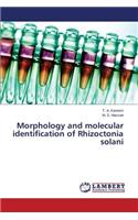 Morphology and Molecular Identification of Rhizoctonia Solani