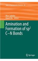 Amination and Formation of Sp2 C-N Bonds