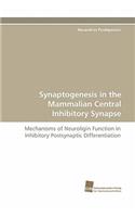 Synaptogenesis in the Mammalian Central Inhibitory Synapse