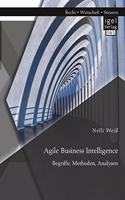 Agile Business Intelligence. Begriffe, Methoden, Analysen