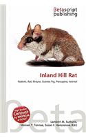 Inland Hill Rat: (English)