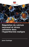 Régulation du calcium neuronal et stress cellulaire dans l'hyperthermie maligne