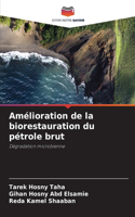 Amélioration de la biorestauration du pétrole brut