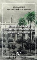 Breve historia de la Literatura Latinoamericana (Ensayo) (Spanish Edition)