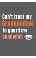 Can't trust my Groenendael to guard my sandwich