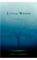 Little Woods