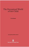 Perceptual World of the Child