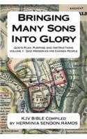 Bringing Many Sons Into Glory