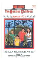 Black Widow Spider Mystery