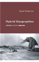 Hybrid Geographies