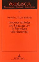 Language Attitudes and Language Use in Pitmedden (Aberdeenshire)