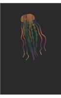 Colorful Jellyfish