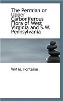 The Permian or Upper Carboniferous Flora of West Virginia and S.W. Pennsylvania