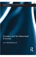 Disasters and the Networked Economy