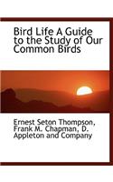 Bird Life a Guide to the Study of Our Common Birds