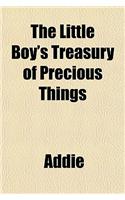The Little Boy's Treasury of Precious Things