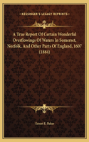 A True Report Of Certain Wonderful Overflowings Of Waters In Somerset, Norfolk, And Other Parts Of England, 1607 (1884)