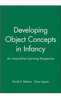 Developing Object Concepts in Infancy