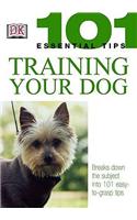 Training Your Dog: (101 Essential Tips)