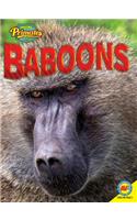 Baboons