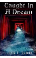 Caught In A Dream