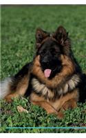 German Shepherd Dog Affirmations Workbook German Shepherd Dog Presents: Positive and Loving Affirmations Workbook. Includes: Mentoring Questions, Guidance, Supporting You.
