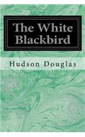 White Blackbird