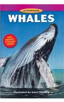 Bcp Investigate Series: Whales