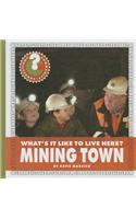 What's It Like to Live Here? Mining Town: (Community Connections: What's It Like to Live Here?)