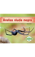ArañAs Viuda Negra: (Aranas / Spiders)